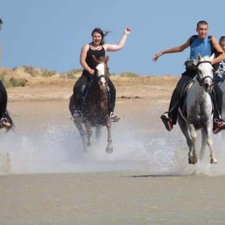 Royal Beach Resort, Hurghada Ngoại thất bức ảnh